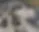 AVANCE2.jpg