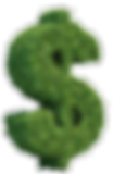 pesos  verdes.png